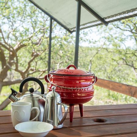 Etosha Safari Camping2Go Okaukuejo Phòng bức ảnh